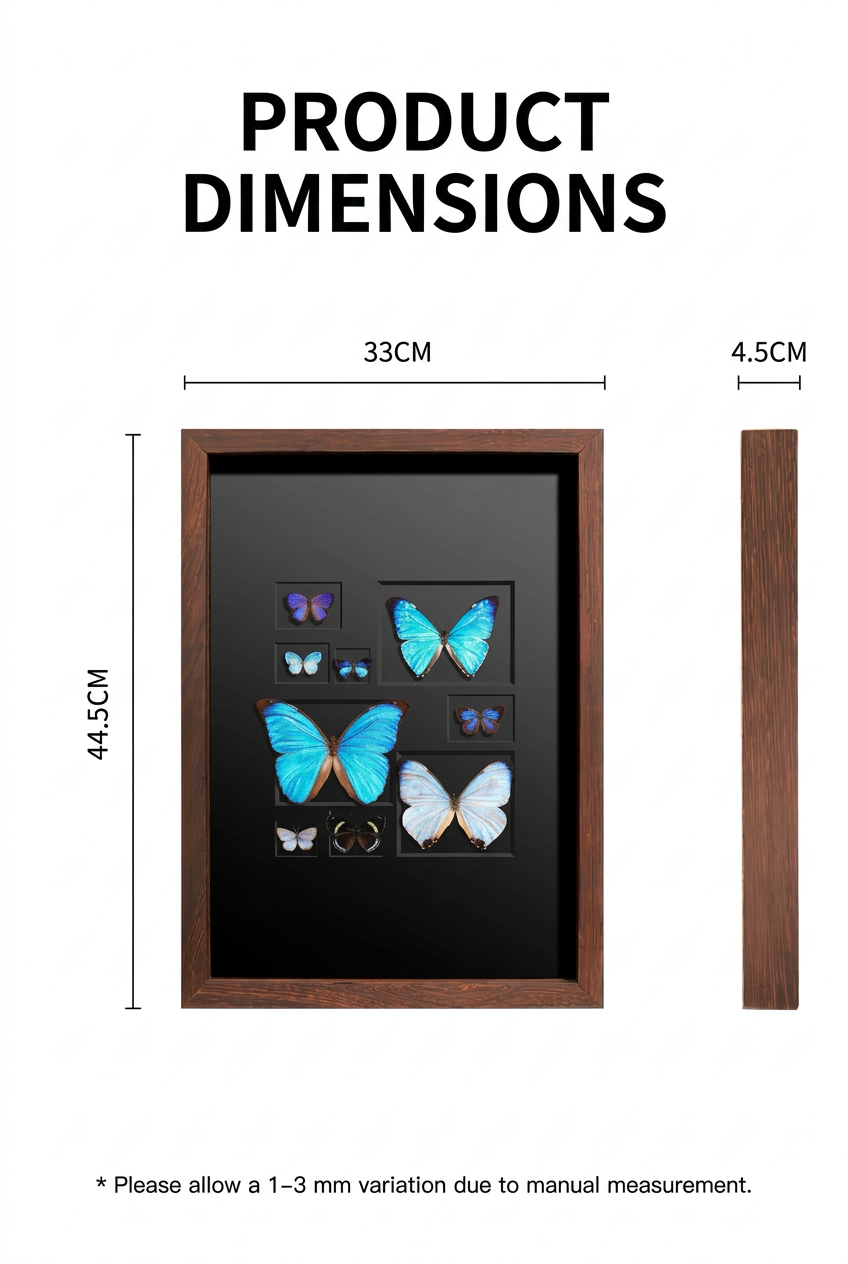 Framed Butterfly Specimen Collection | Iridescent Blue & Purple Wings, 33 × 44.5 cm