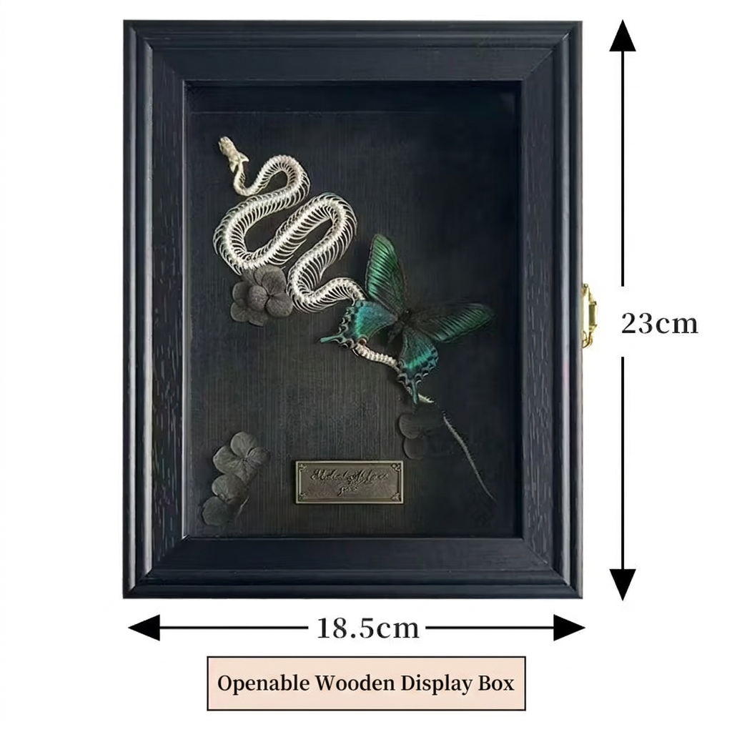 Snake Skeleton & Butterfly Shadow Box – Black Wooden Frame