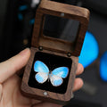 Iridescent Blue Butterfly Specimen in Wooden Display Box