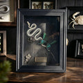 Snake Skeleton & Butterfly Shadow Box – Black Wooden Frame