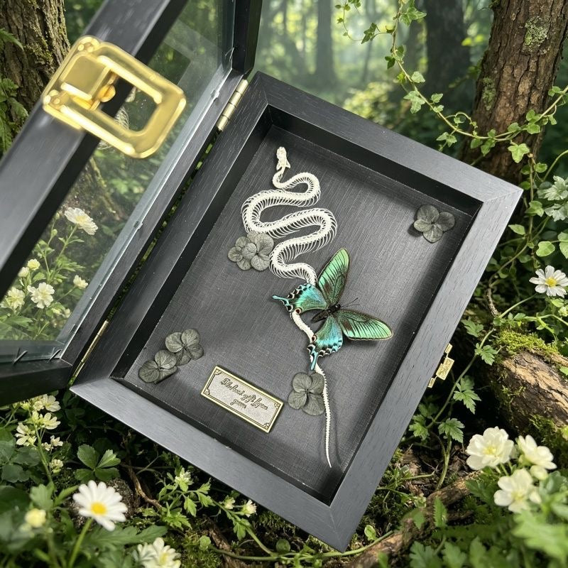 Snake Skeleton & Butterfly Shadow Box – Black Wooden Frame
