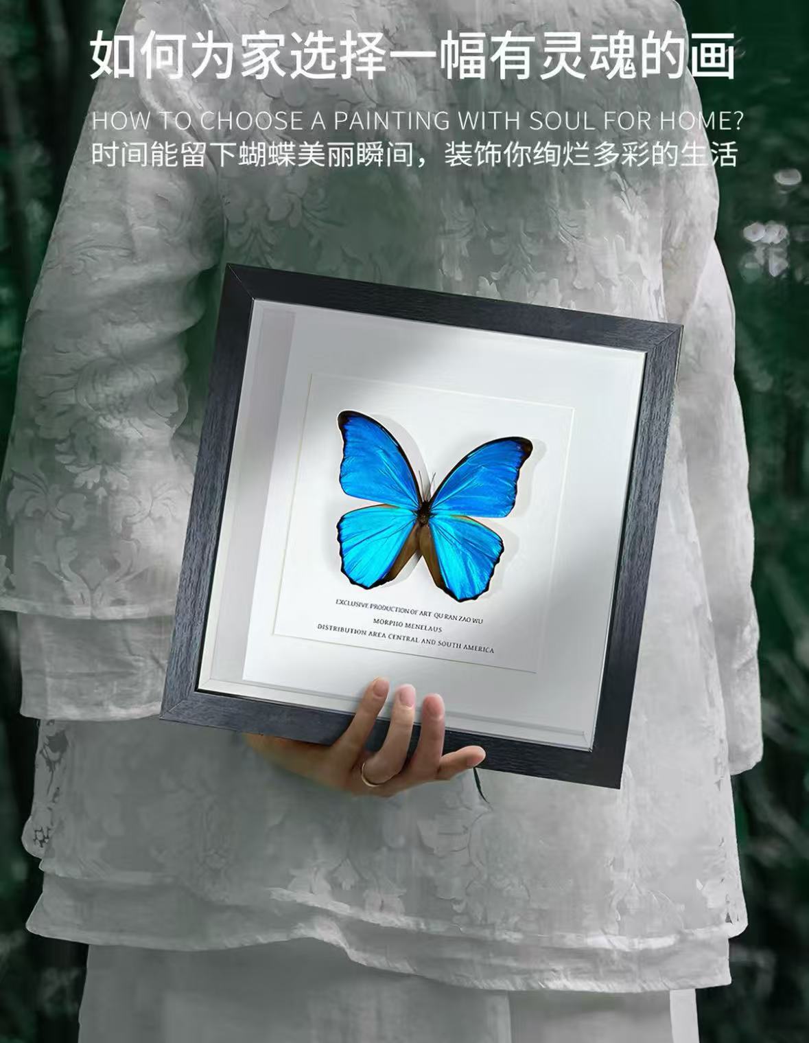 Giant Blue Morpho Butterfly